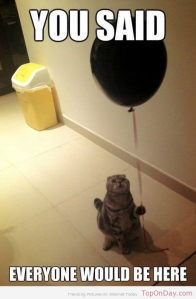 sad-birthday-cat